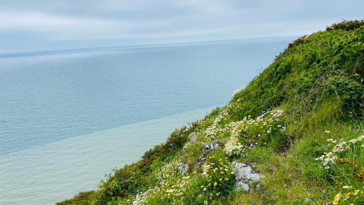 Gordy Hall -Sea Facing Welsh Cottage With Stunning Views ペンディン エクステリア 写真